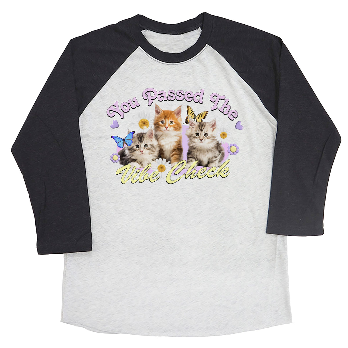 You Passed the Vibe Check Raglan