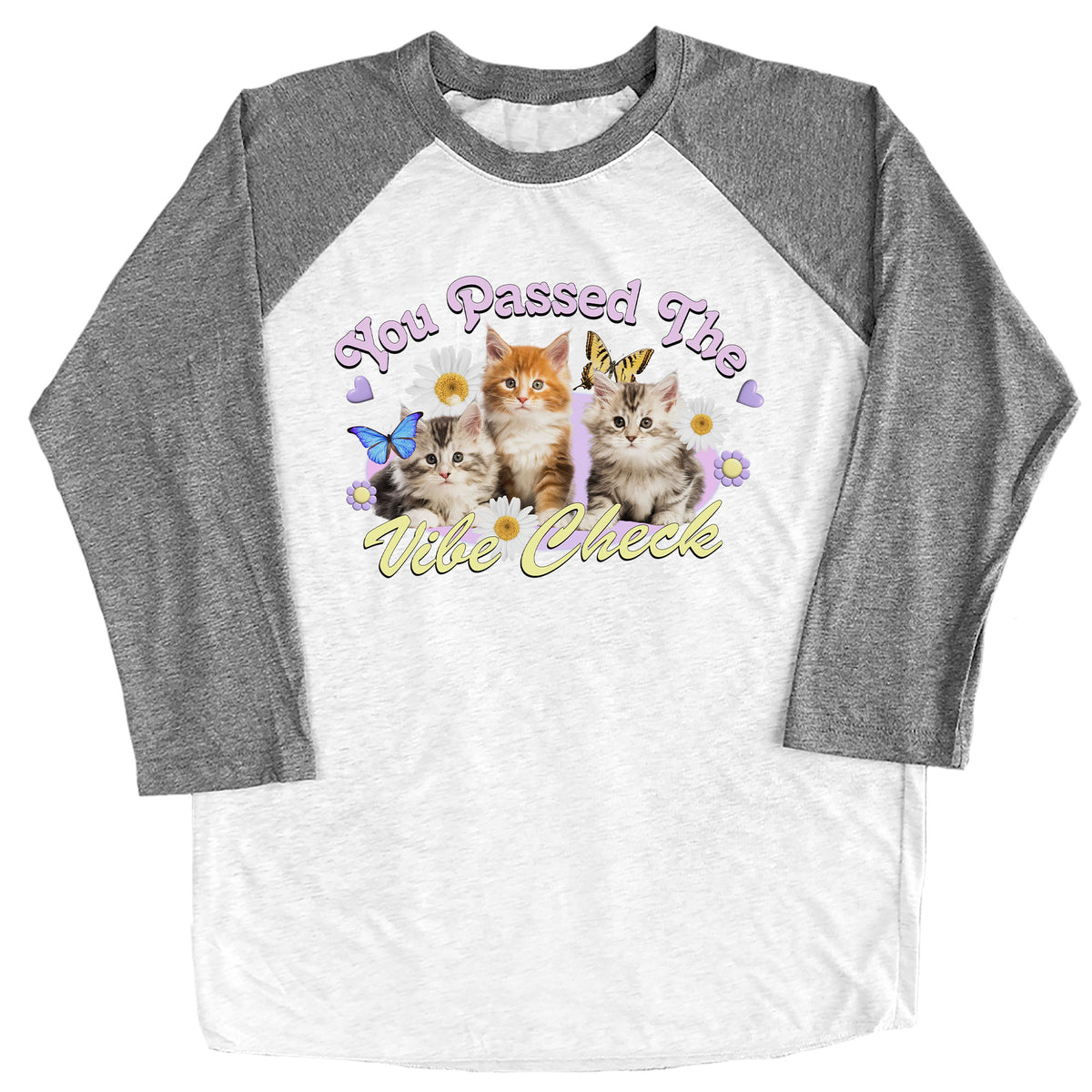 You Passed the Vibe Check Raglan