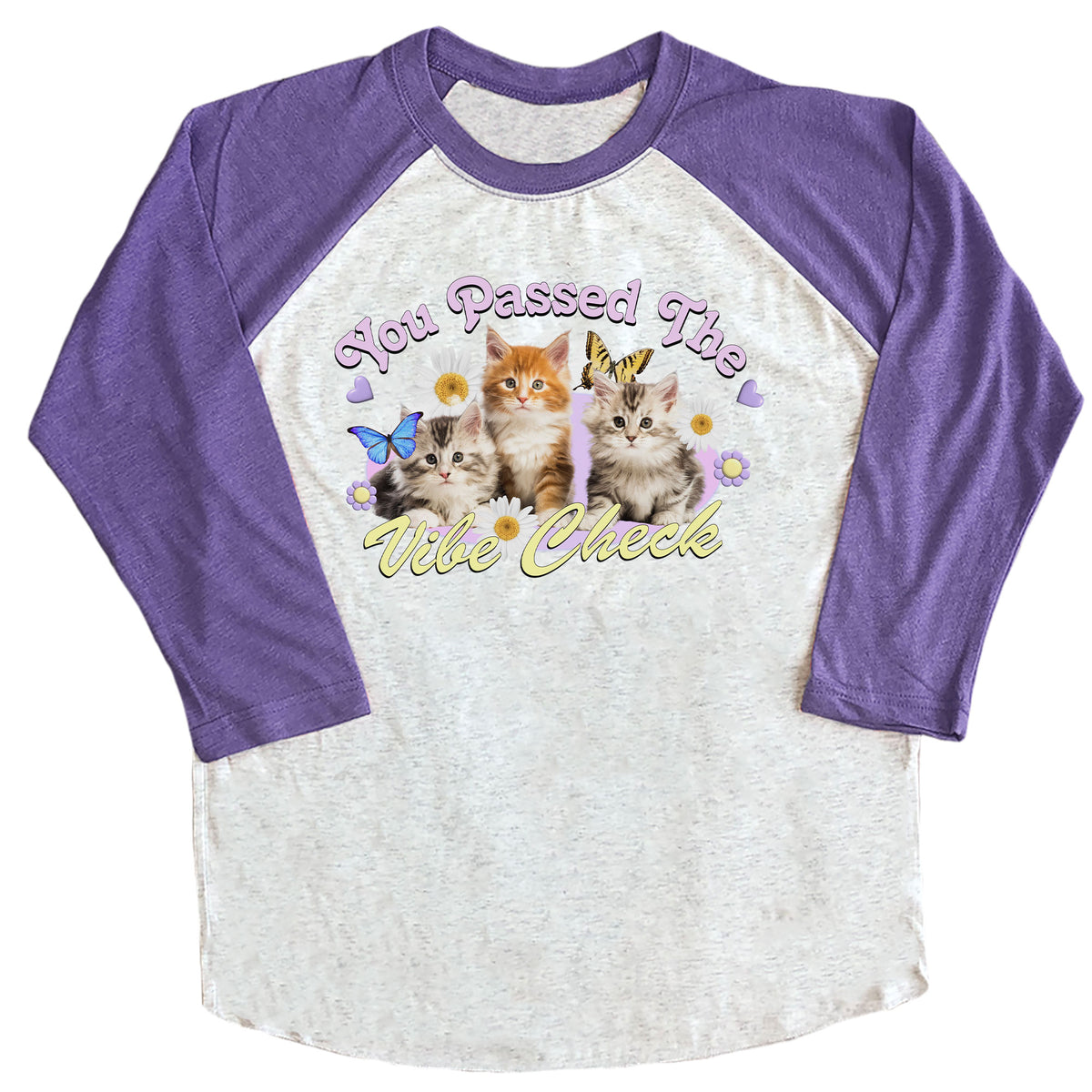 You Passed the Vibe Check Raglan
