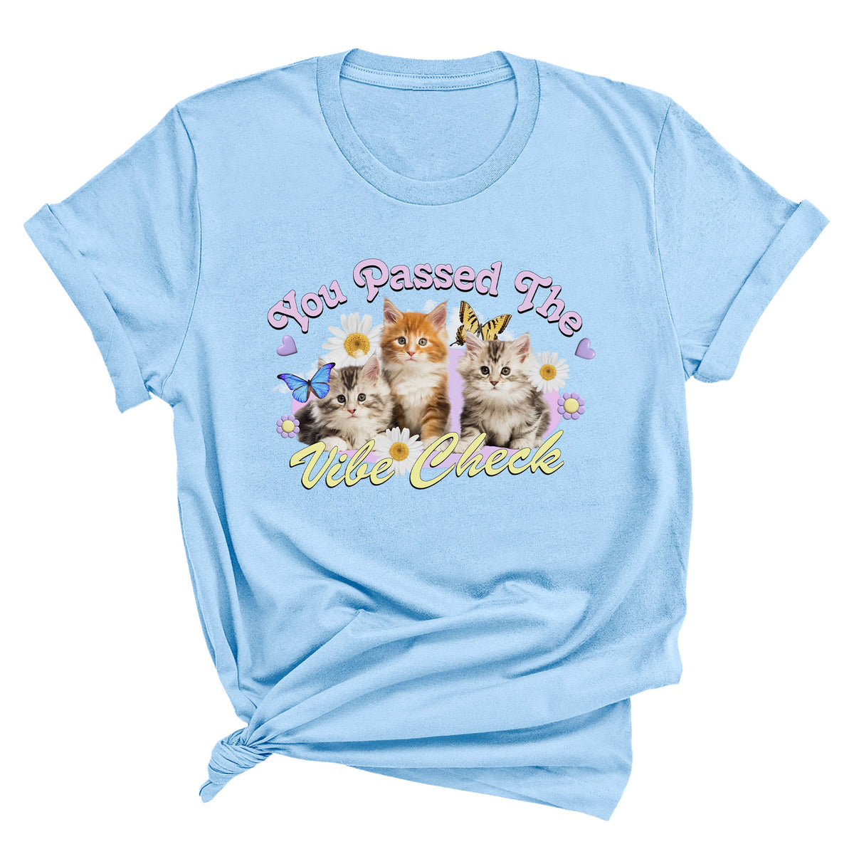 You Passed the Vibe Check Unisex T-Shirt