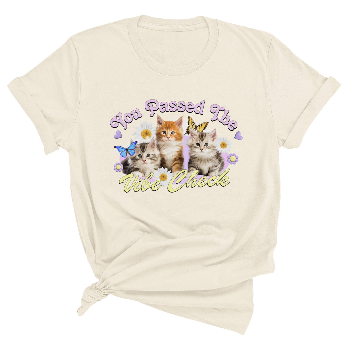 You Passed the Vibe Check Unisex T-Shirt