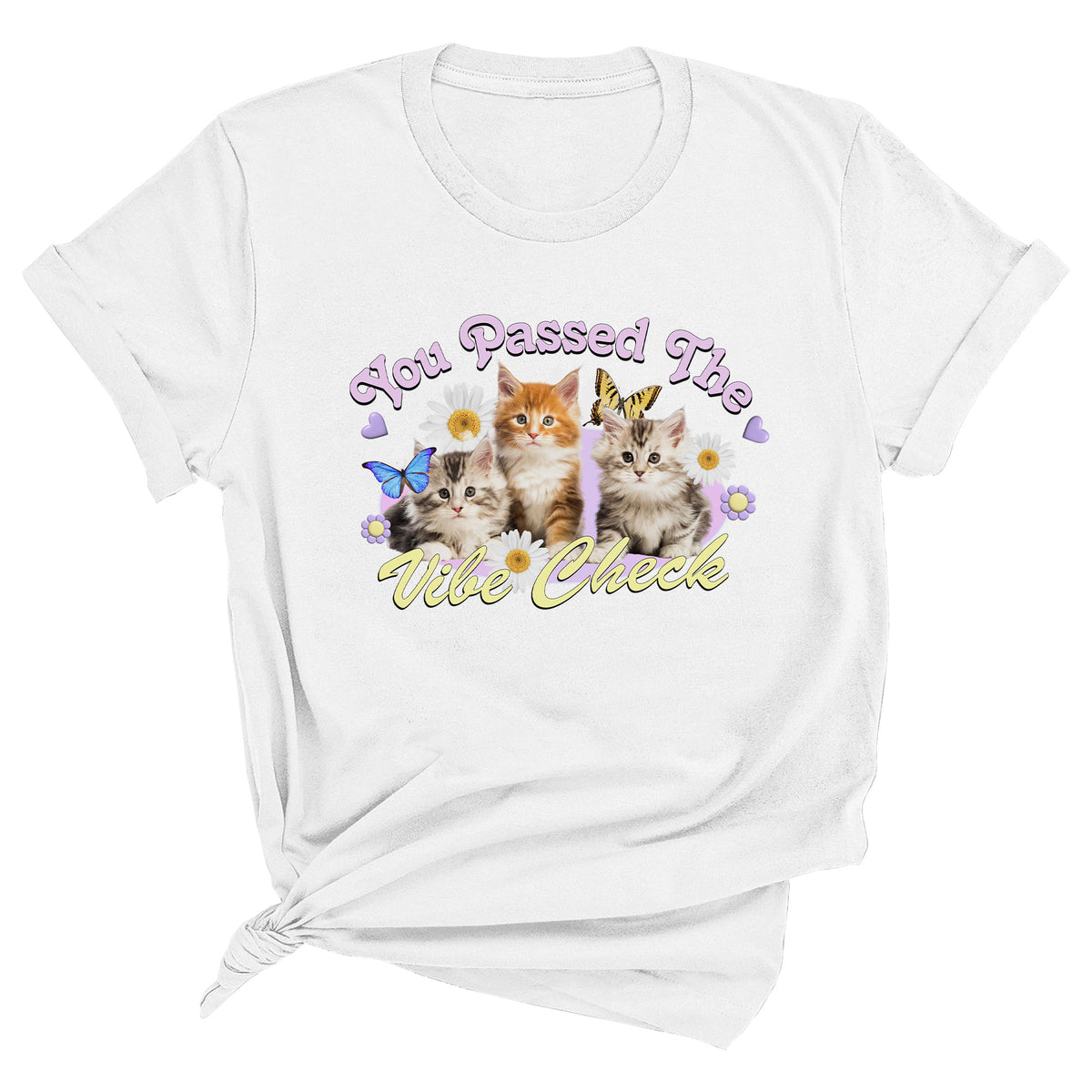 You Passed the Vibe Check Unisex T-Shirt