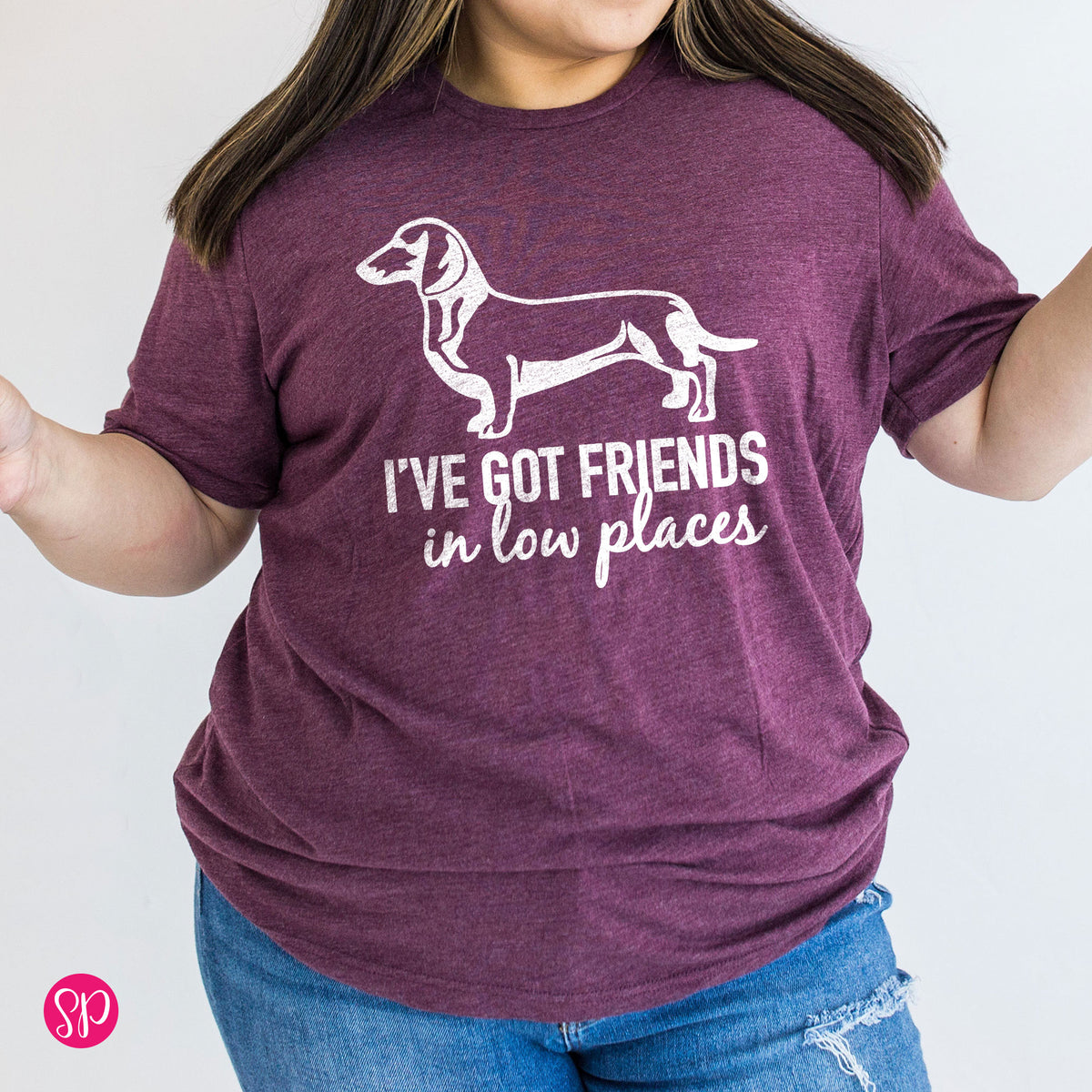 I've Got Friends in Low Places Dachshund Weiner Dog Funny Graphic Tee Shirt